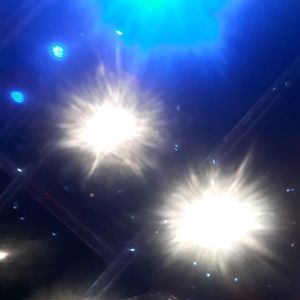 Meet your Posher, Darlene